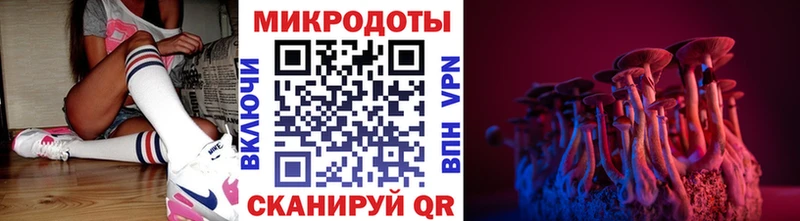 ОМГ ОМГ вход  Орлов  Псилоцибиновые грибы ЛСД 