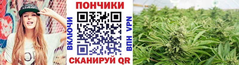 площадка телеграм Орлов Канабис LSD WEED